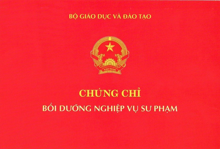 Nghiệp vụ sư phạm là gì